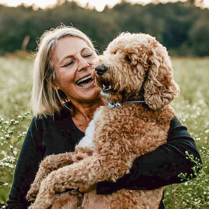 How Chase helps his Dog Mom with Traumatic Brain Injury