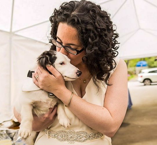 Rescue Dog Peet Keeps Fans Smiling Every Day!