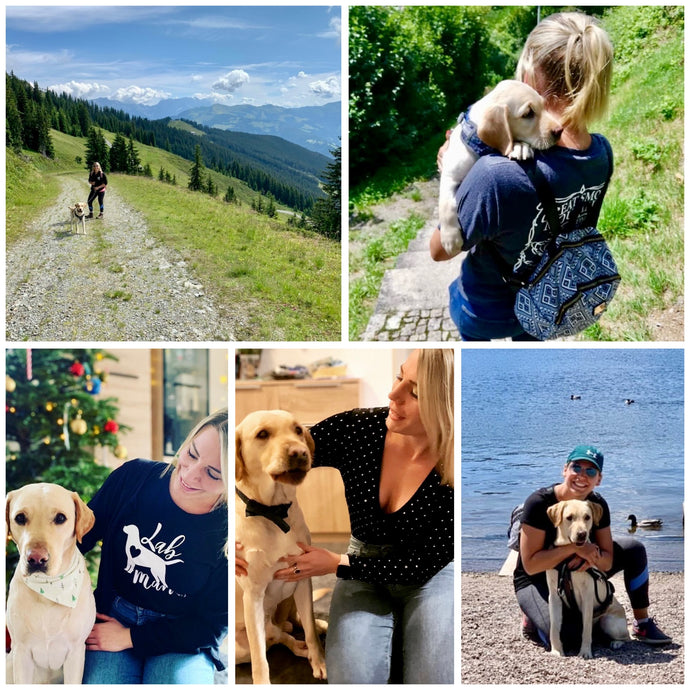 Diabetic Alert Dog Saves Dog Mom's Life and Helps Manage Diabetes