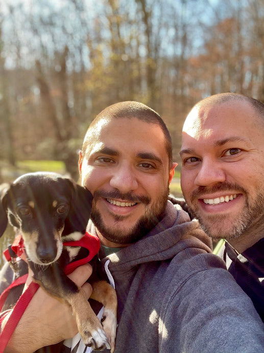 Dog Dads Adopt Rescue Dachshund to Complete Their Family