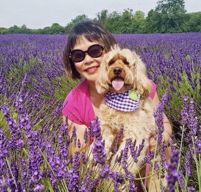 Are there Wrong Reasons to get a Dog?