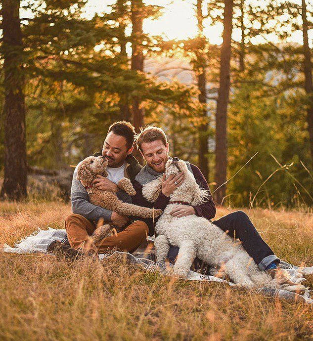 Are Dogs Matchmakers?