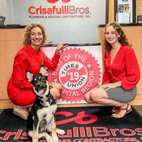 Do Dogs have an impact on the Workplace?