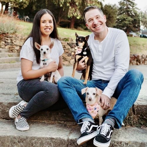 Why should you rescue a Senior Dog?