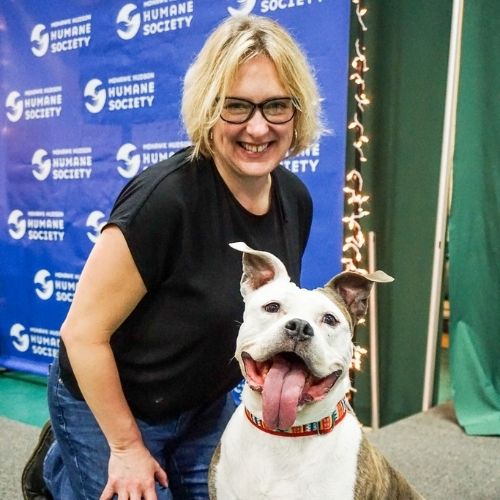 Training & Consistency transforms an Aggressive Dog into a Sweet, Loving Dog