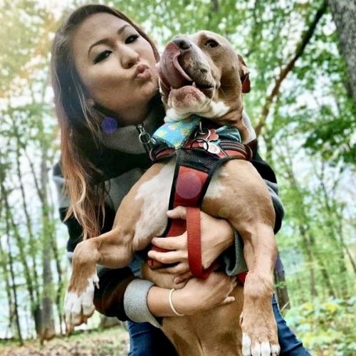 Reactive Dog helps Dog Mom with PTSD